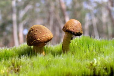 珠海金湾区4私人老板放款：轻松融资的秘密通道